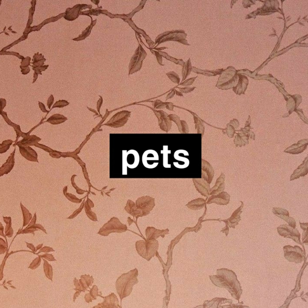 pets